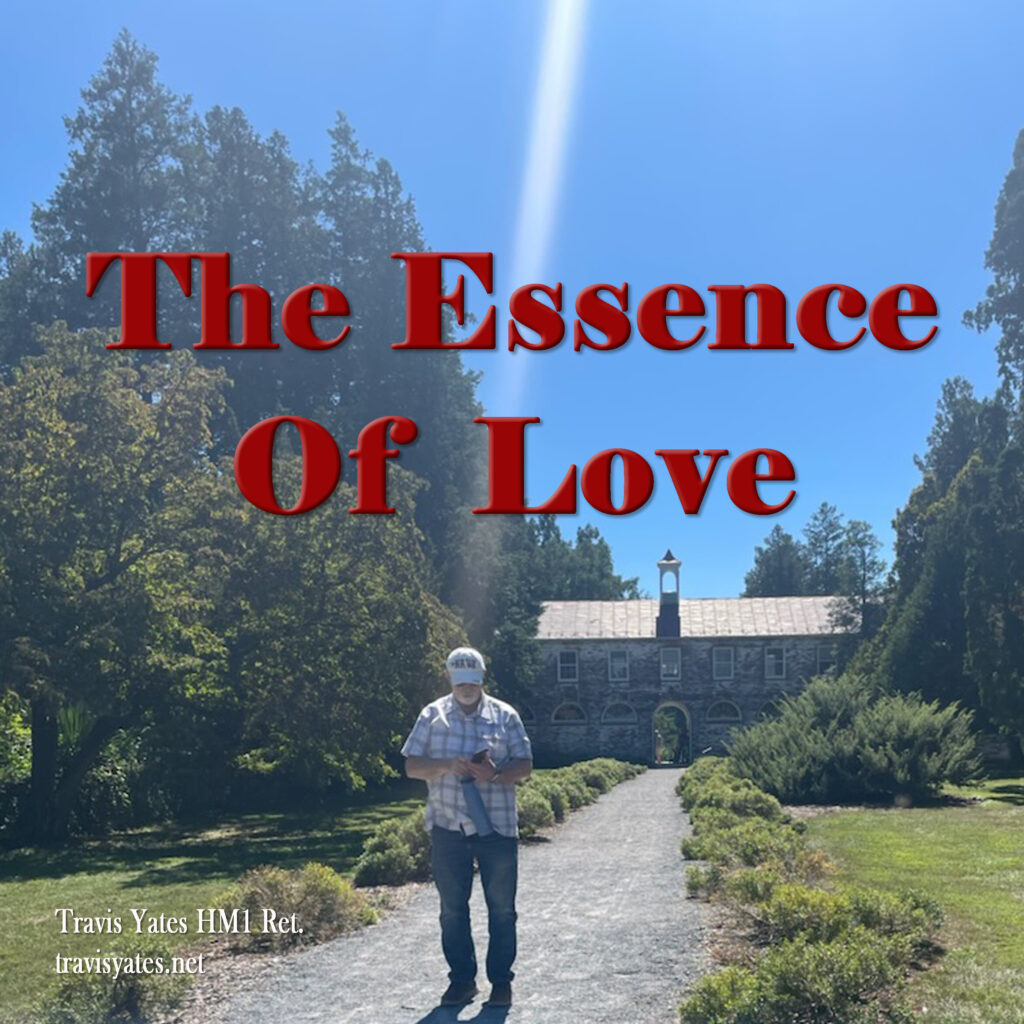The Essence Of Love by Travis Yates HM1 Ret. Singer - Songwriter - Guitarist - Bassist